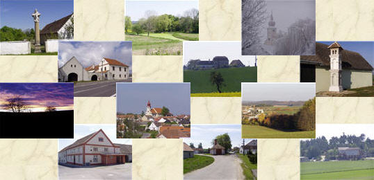 Vyklízení Pavlice